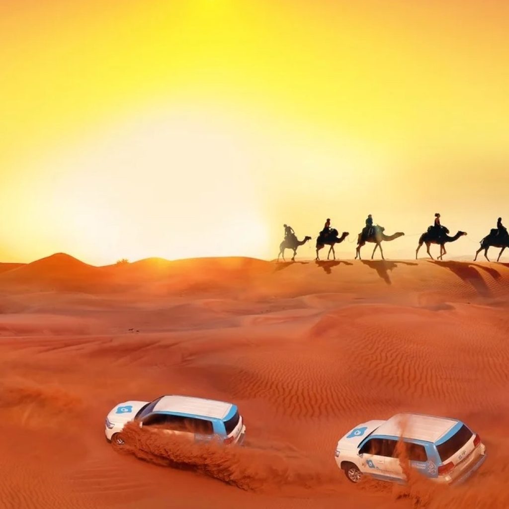 رحلة من مدينة المدينة المنورة إلي مدينة جدة