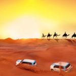 رحلة من مدينة المدينة المنورة إلي مدينة جدة