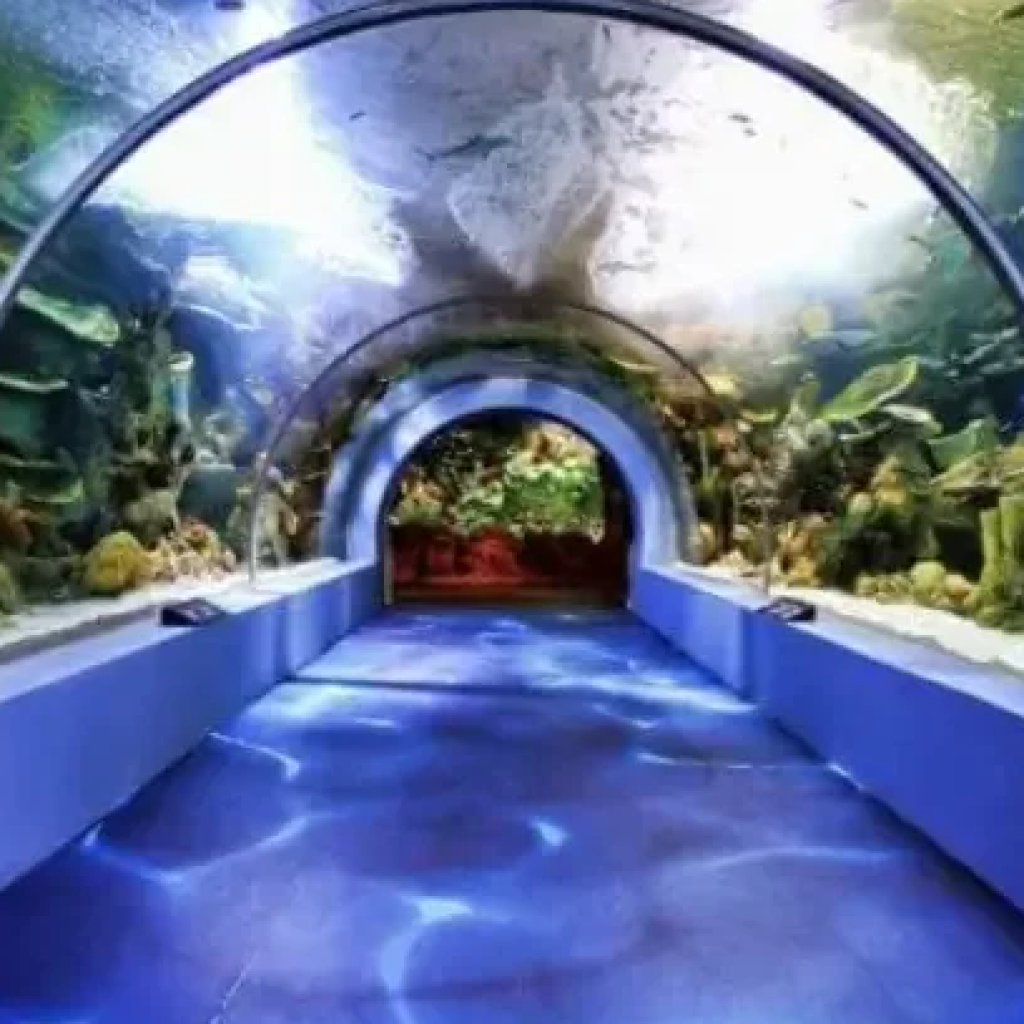 فقيه أكواريوم4