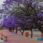 حديقة الاندلس