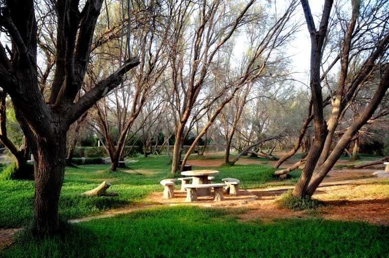 أهم حدائق الحيوان والاكواريوم في مدينة المنامة