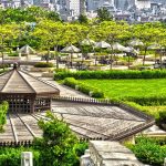 حديقة الأزهر1