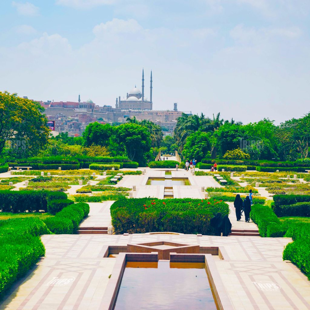 حديقة الأزهر 2