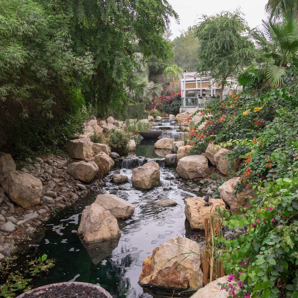 أهم الحدائق والمنتزهات في مدينة دبي