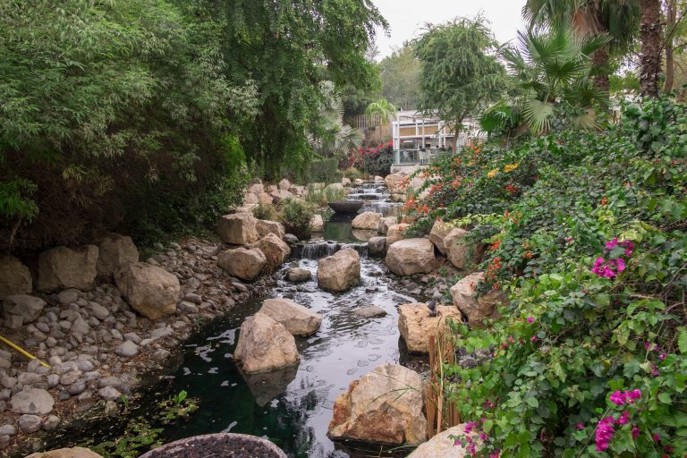 أهم الحدائق والمنتزهات في مدينة دبي