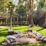 البراري في مدينة دبي