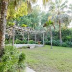 البراري في مدينة دبي