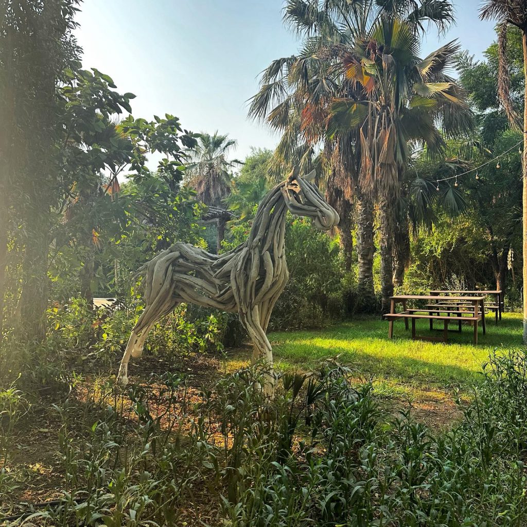 البراري في مدينة دبي