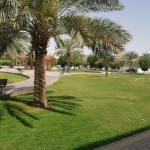 حديقة حي المروج