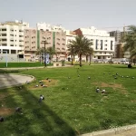 حديقة شبه الجزيرة العربية بمكة المكرمة ٥
