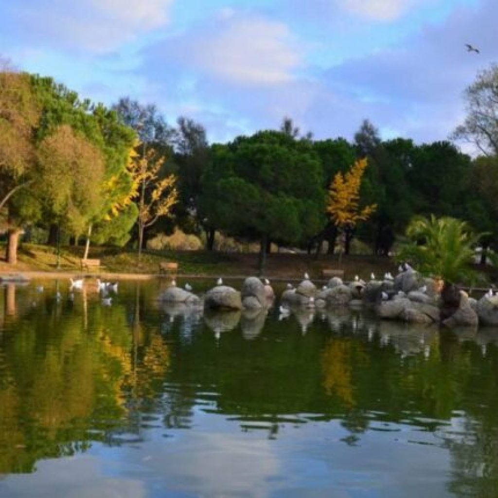 حديقة بهجة شهير غوليت ٢