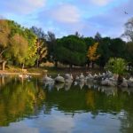 حديقة بهجة شهير غوليت ٢