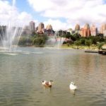 حديقة بهجة شهير غوليت ١