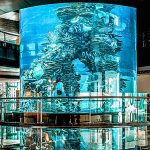 أكواريوم البحرين