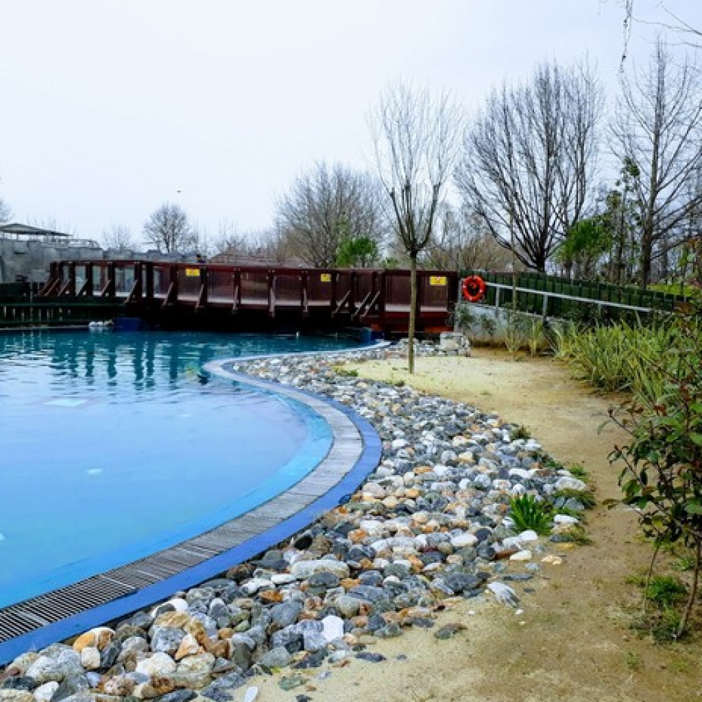 رحلة من مدينة اسطنبول إلى مدينة بورصة 6