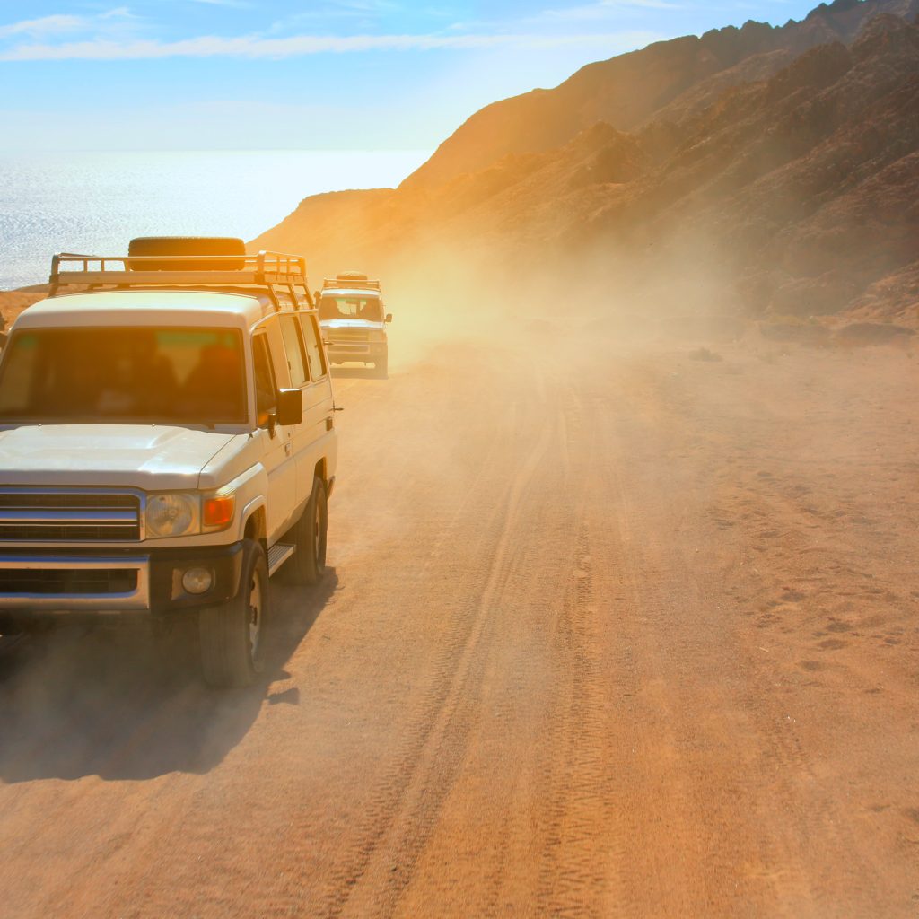 رحلة لمدة يوم واحد في شرم الشيخ 2