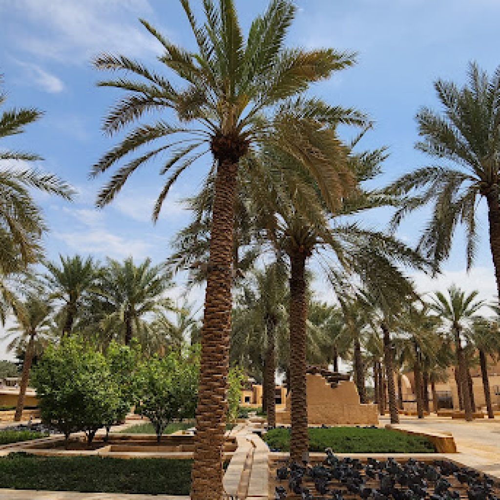 رحلة من مدينة الرياض إلى مدينة الدرعية