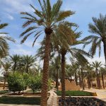 رحلة من مدينة الرياض إلى مدينة الدرعية