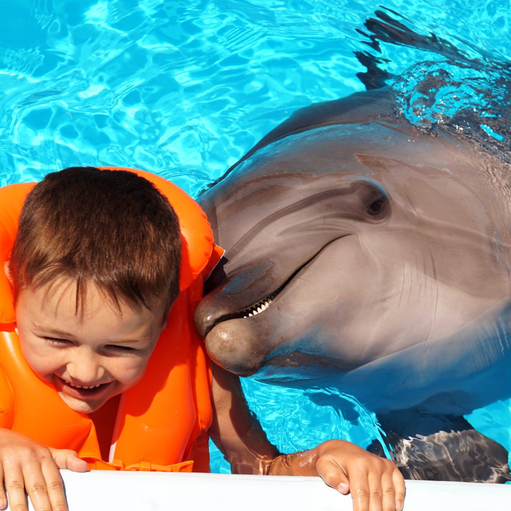 دولفينا بارك 4