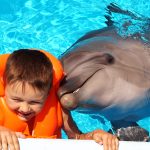 دولفينا بارك 4