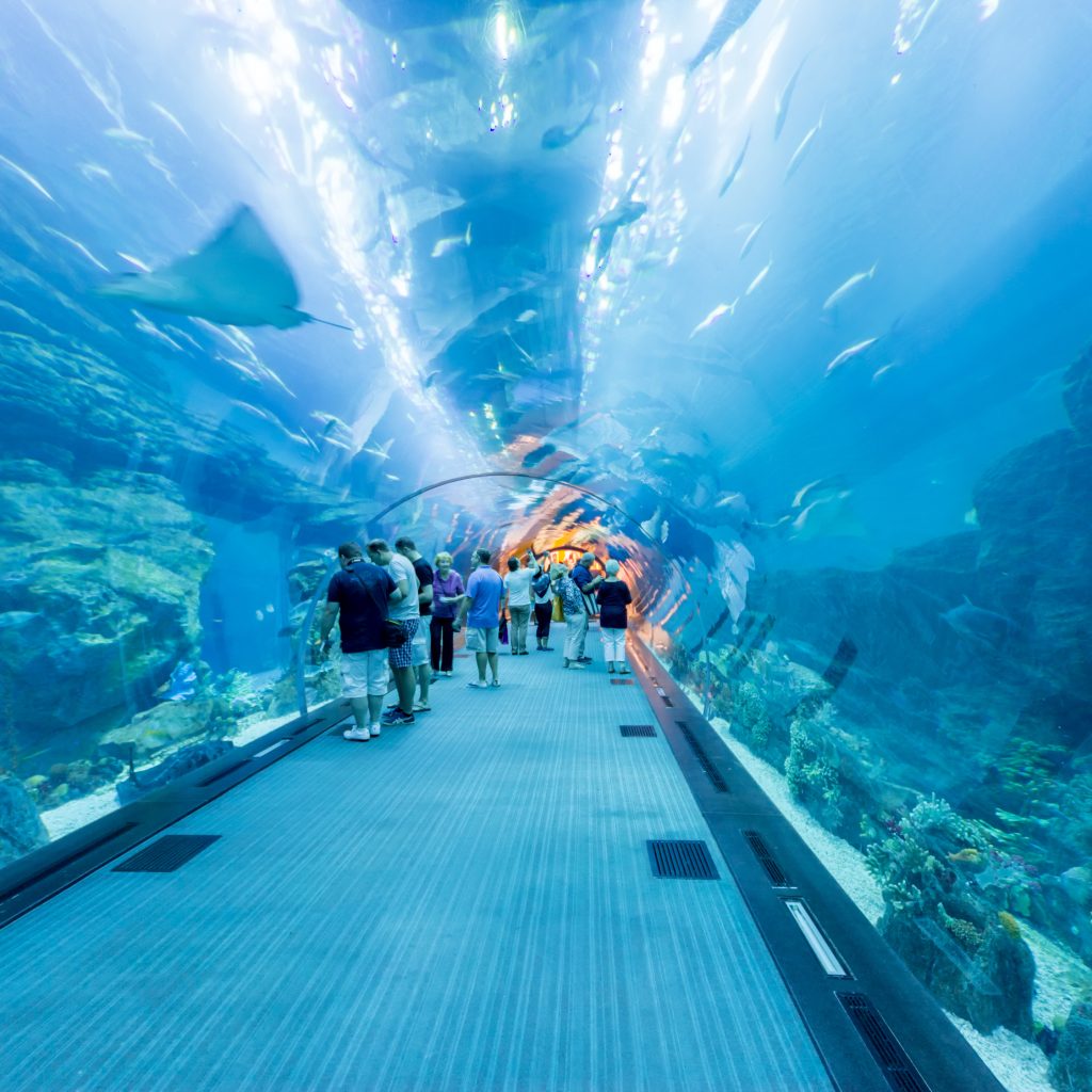 أهم حدائق الحيوان و متنزهات الأ كواريوم في مدينة دبي