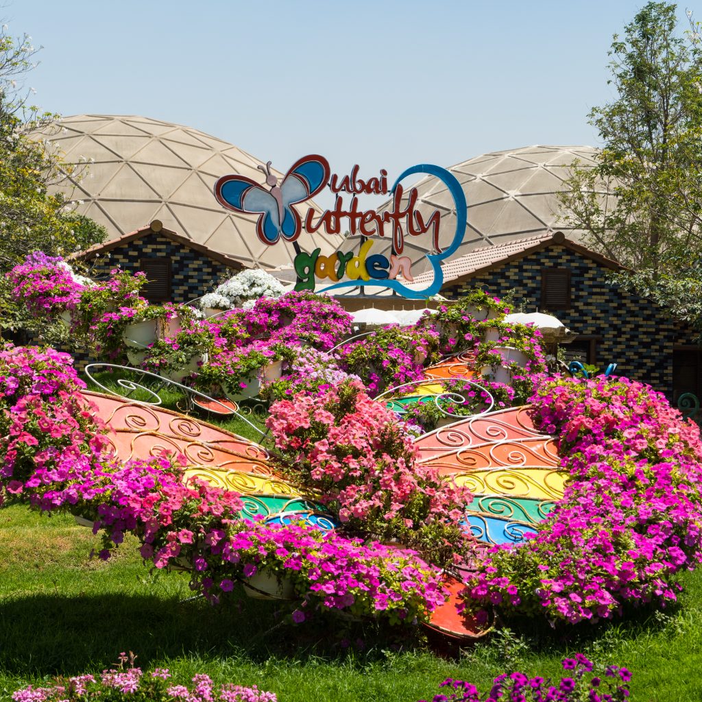 حديقة الفراشات بدبي