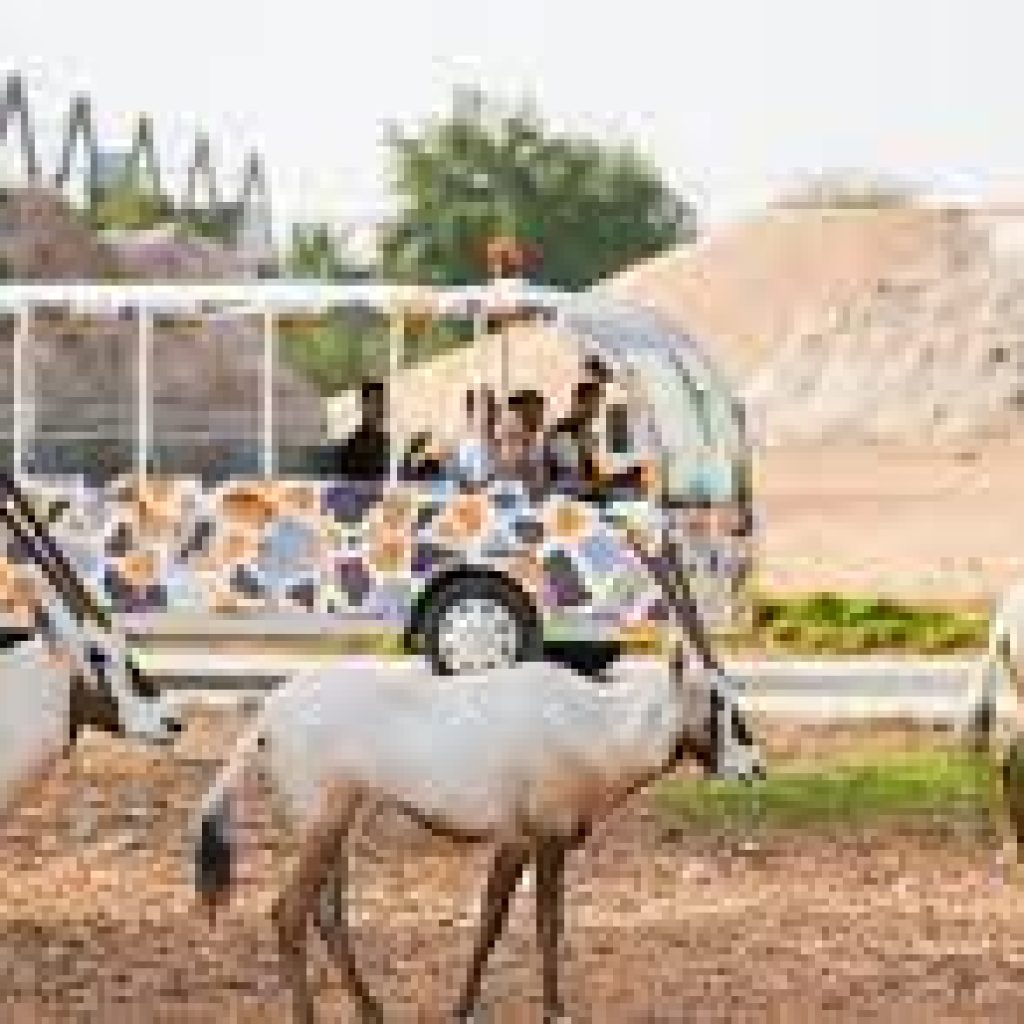 حديقة حيوان دبي ٤