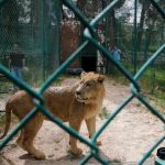 حديقة حيوان دبي ٥