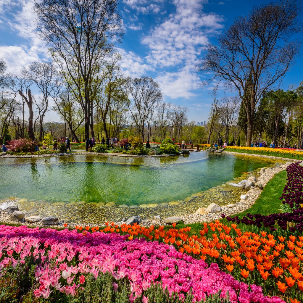 حديقة اميرجان