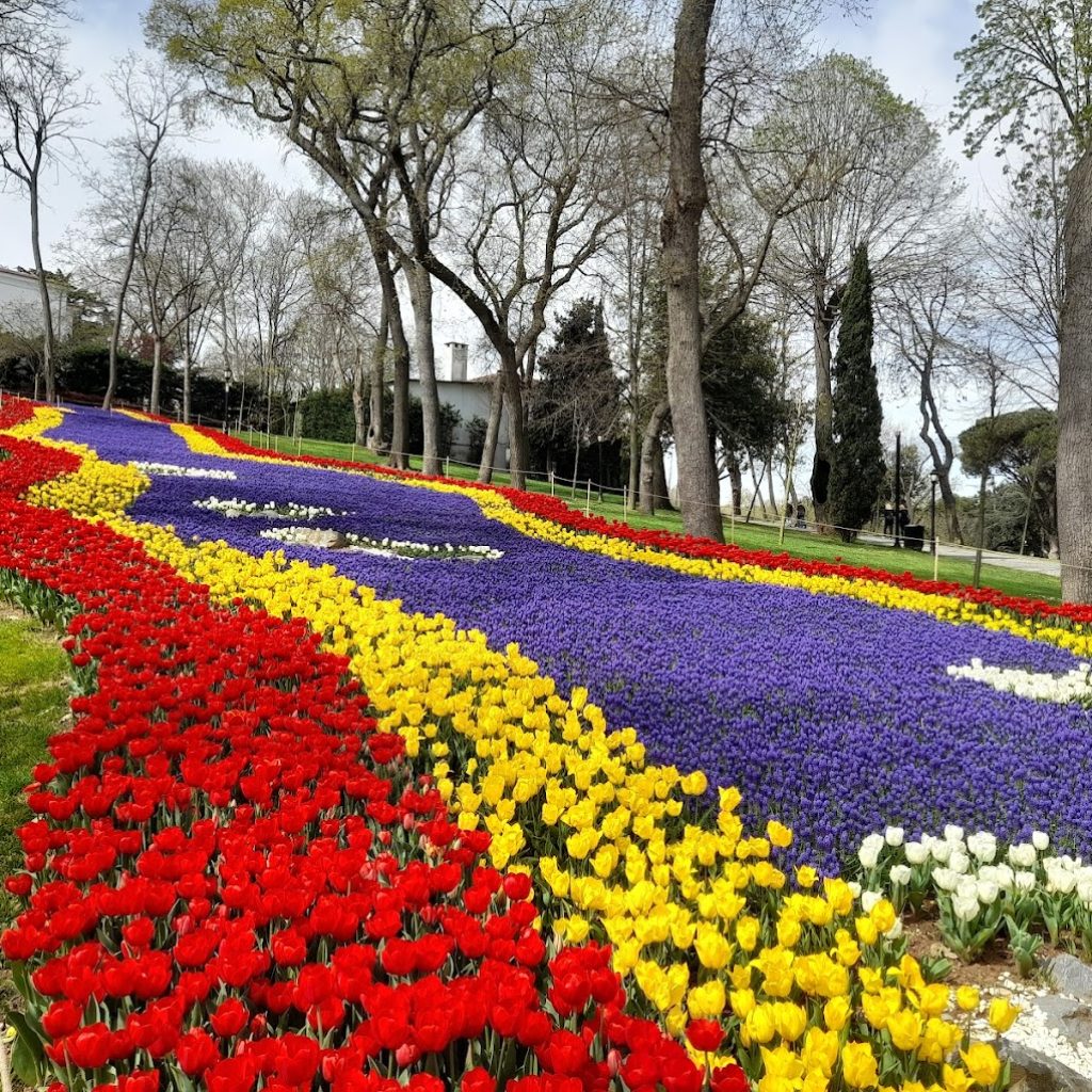 حديقة اميرجان ٤