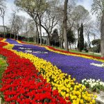 حديقة اميرجان ٤