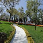 حديقة اميرجان ٥