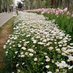 حديقة جولهانة اسطنبول ٤