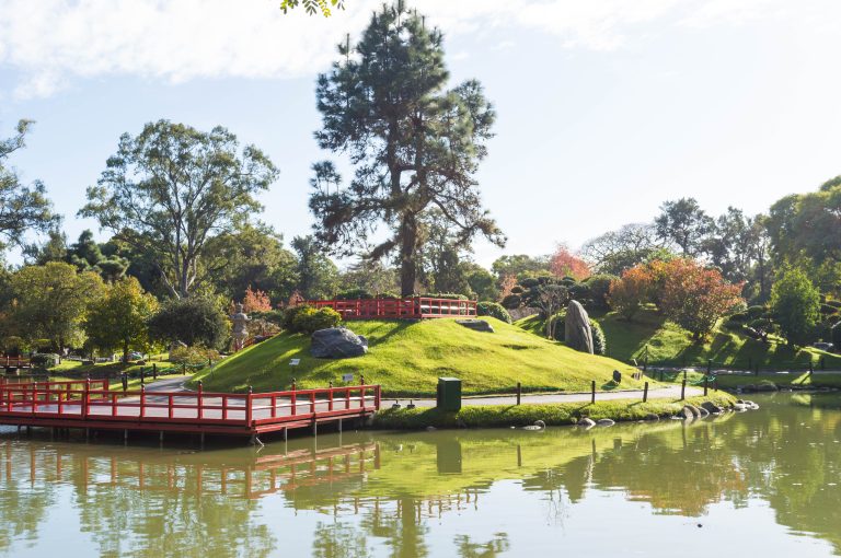 أهم المعالم والأنشطة السياحية في مدينة القاهرة