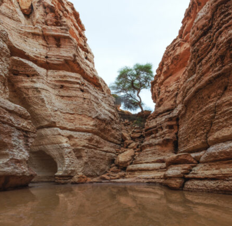 أهم المعالم السياحية الطبيعية في مدينة الرياض