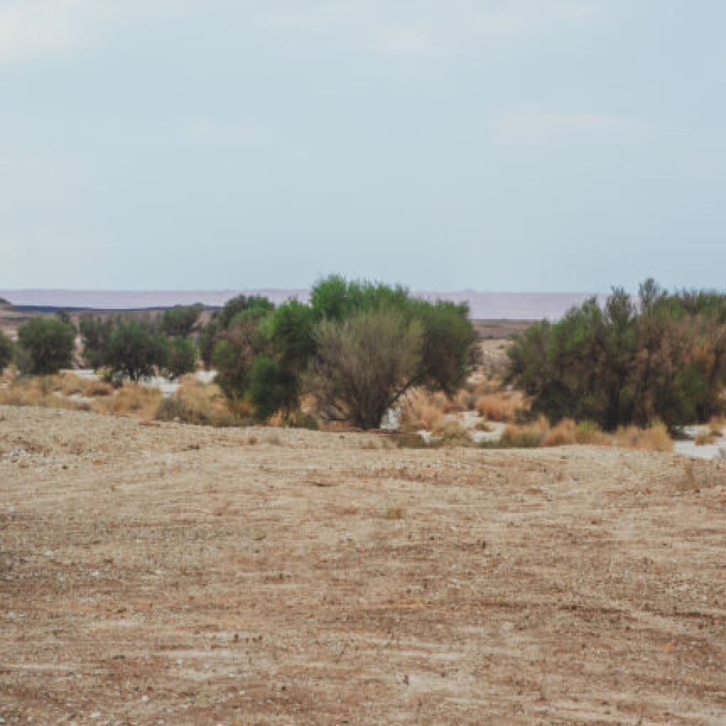 محمية الملك خالد الملكية بالرياض