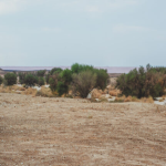 محمية الملك خالد الملكية بالرياض