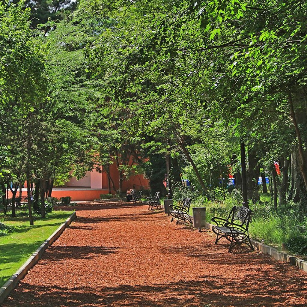 حديقة المشتيدي