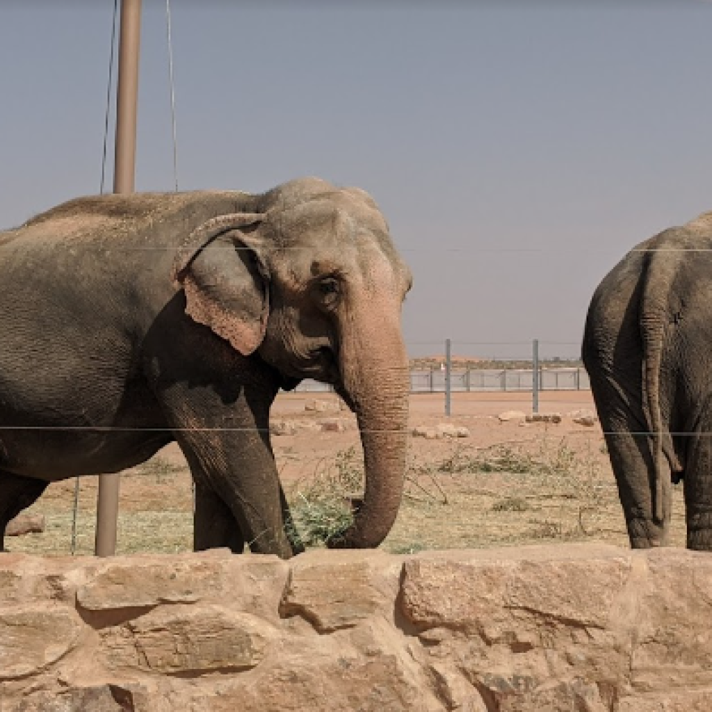 حديقة نوفا للحياة البرية