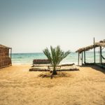 رحلة لمدة يوم واحد في رأس شيطان