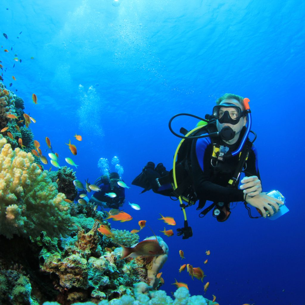 رحلة لمدة يوم في مدينة شرم الشيخ