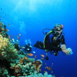 رحلة لمدة يوم في مدينة شرم الشيخ