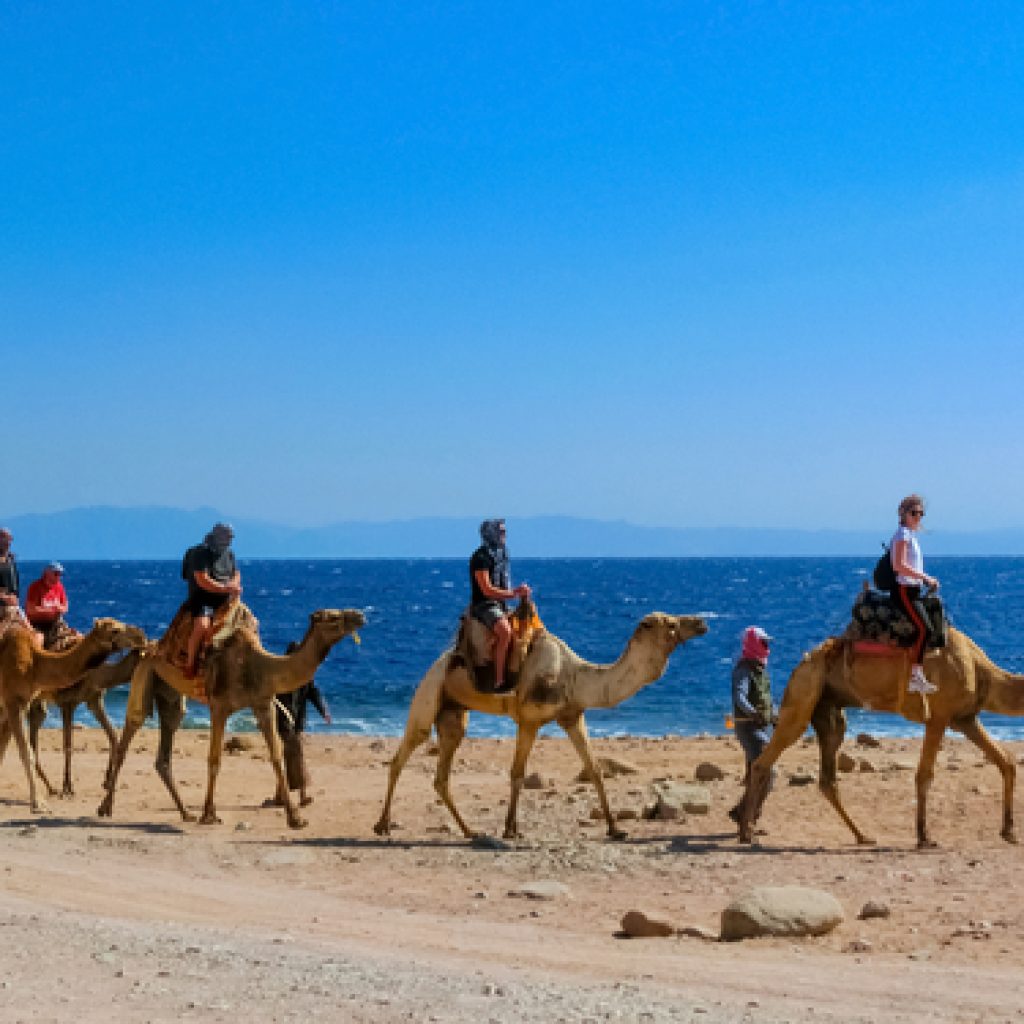 رحلة من مدينة شرم الشيخ إلى مدينة دهب