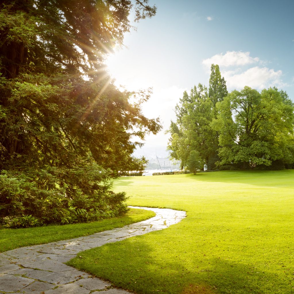 أهم الحدائق في مدينة شرم الشيخ