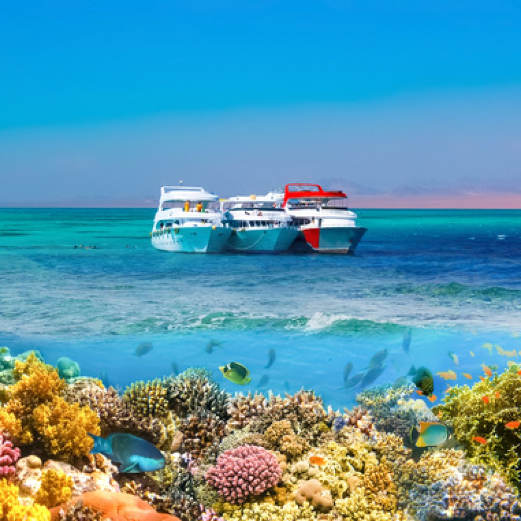 منتزه رأس محمد الوطني