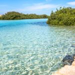 منتزه رأس محمد الوطني 2