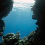 رحلة سفاري إلي رأس جالوم وبلوهول 5