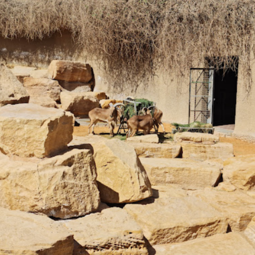 أهم حدائق الحيوان والاكواريوم في مدينة الرياض