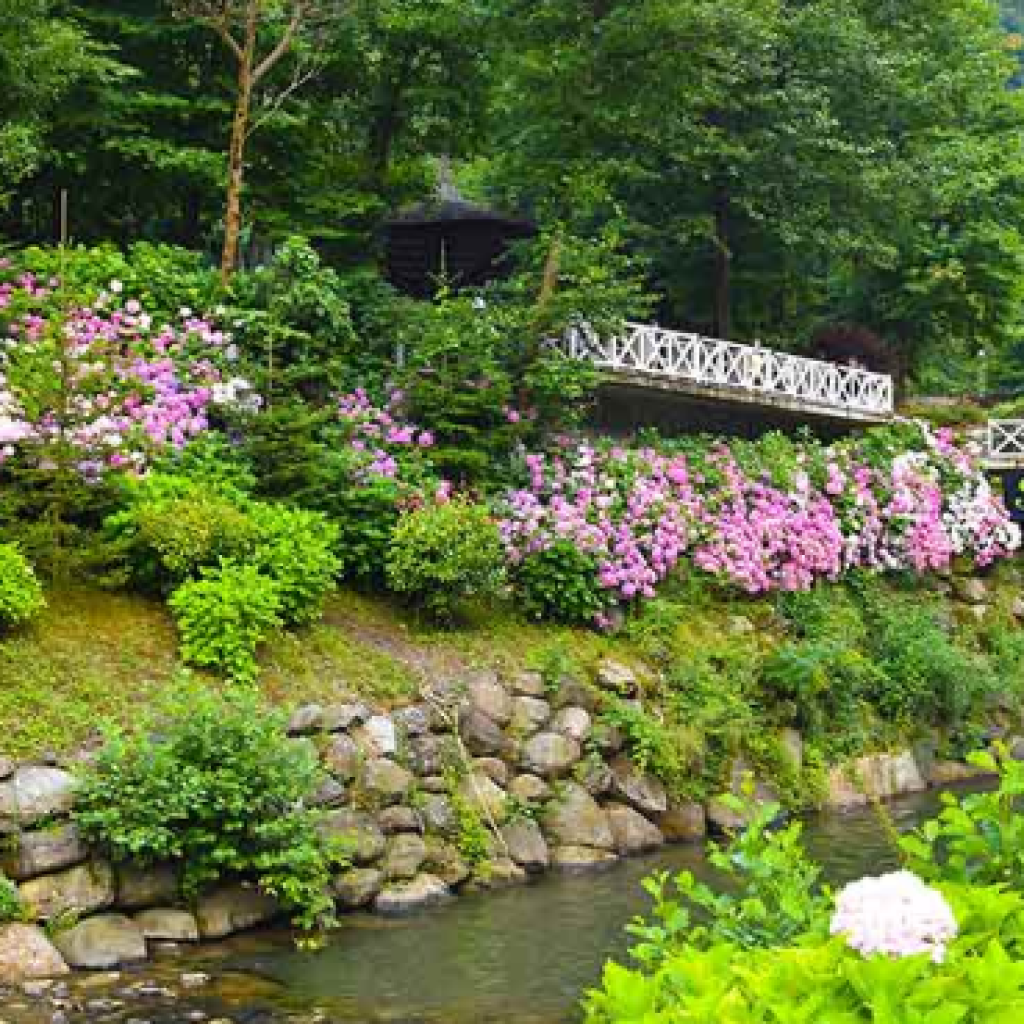 رحلة من مدينة اسطنبول إلى مدينة صبنجة ومعشوقية