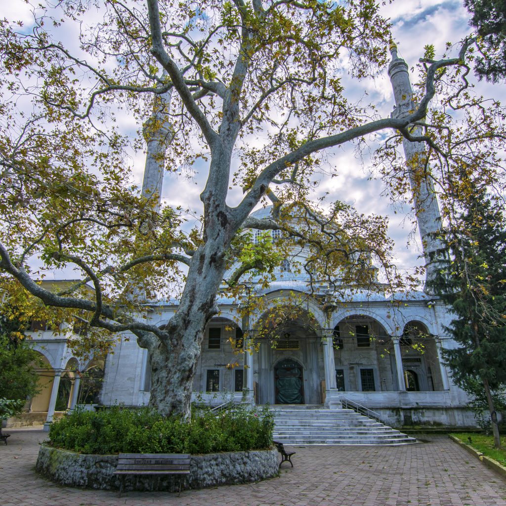 مسجد السليمانية ٢